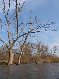 ����� �� ���� ������, 10 ������ 2005