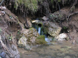 ����� �� ���� ������, 11 ������ 2005