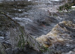 ����� �� ����� ��������� ������������� � ������ �., 2 ��� 2005