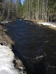 ����� �� ����� ��������� �������������. ���� ������, 5 ��� 2005