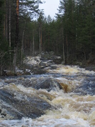 ����� �� ���� �����, 8 ��� 2005