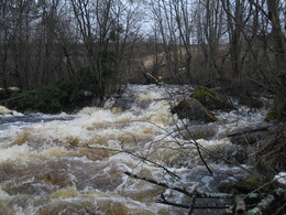 ����� �� ���� �����, 8 ��� 2005