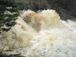 ����� �� ���� �����, 8 ��� 2005