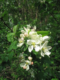 �������� ���, 22 ��� 2005