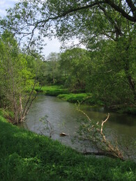 �������� ���. ���� ����, 22 ��� 2005