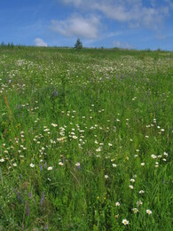 ���� � ������� ������, 3 ���� 2005