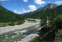 ����� �� ��������. ���� ����� ���� �����, 24 ���� 2005