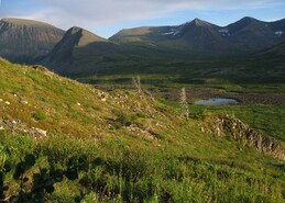 ����� �� ��������. ������ ��������, 26 ���� 2005