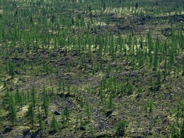 ����� �� ��������. ������� ����, 27 ���� 2005