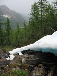 ����� �� ��������. �������� � ������ ��������, 28 ���� 2005