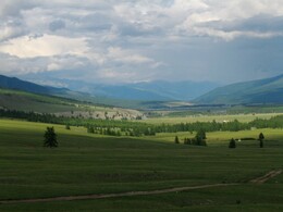 ����� �� ��������, ����������� �� ���� �����-���. , 1 ������� 2005