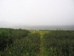 ����� � ����������� ����, 13 ������� 2005