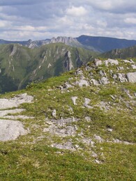 ����� � ����������� ����. ��������� �����, 17 ������� 2005