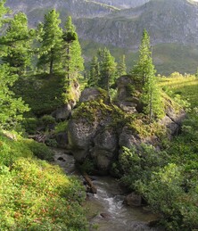 ����� � ����������� ����. �������� ���� �������, 19 ������� 2005