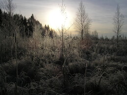 ���������� ���, 29 ������� 2005