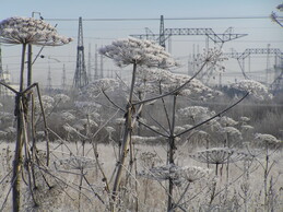 ���������� ���, 29 ������� 2005