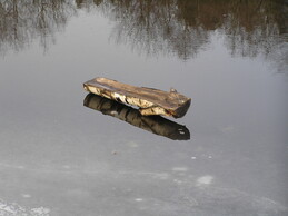 ����� �� ���������� �������������, 5 ������ 2005