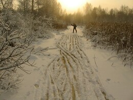 ������ ����� ������� - ������� � ������� ���������. ������ �����, 10 ������� 2005