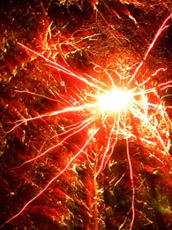 ������������ ������ ���� � �������, 31 ������� 2005