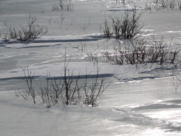 �����, 11 ������� 2007