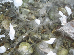 �����, 11 ������� 2007