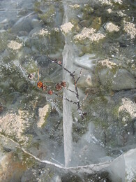 �����, 11 ������� 2007