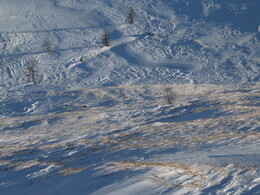 �����, 12 ������� 2007