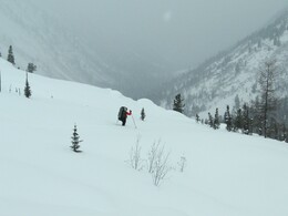 �����, 14 ������� 2007