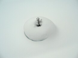 �����, 22 ������� 2007