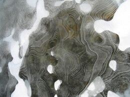 �����, 1 ����� 2007