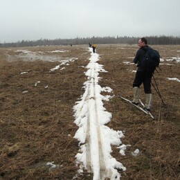 �����������, 17 ����� 2007