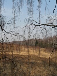 �����������, 31 ����� 2007