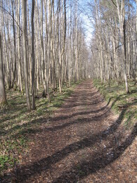 �����������, 7 ������ 2007