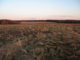 �����������, 7 ������ 2007