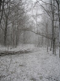 �����������, 8 ������ 2007