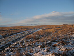 �����������, 8 ������ 2007