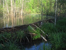 �����������, 20 ��� 2007