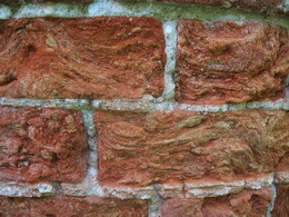 �����������, 20 ��� 2007