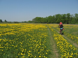 �����������, 20 ��� 2007