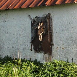 �������� �������, 26 ��� 2007