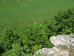 ����� �� ���� ������, �������� �������, 26 ��� 2007