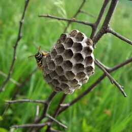 �������� �������, 27 ��� 2007