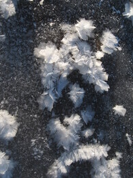 ��������� ������, �������� �������, 5 ������ 2008