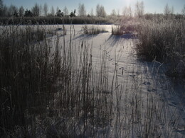 ��������� ������, �������� �������, 5 ������ 2008