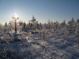 ��������� ������, �������� �������, 5 ������ 2008