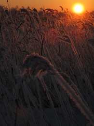 ��������� ������, �������� �������, 5 ������ 2008