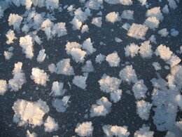 ������������ �������������, �������� �������, 6 ������ 2008