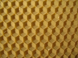 �����������, 30 ����� 2008