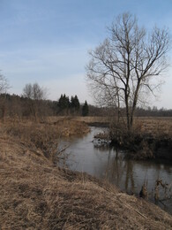 ���� ������� ������, �����������, 30 ����� 2008