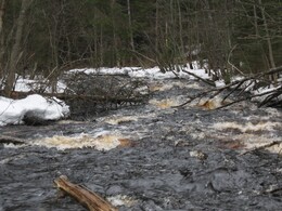 ���� ������, ���������� ��������, 16 ������ 2008